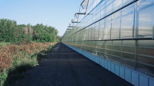 La Ferme Grover inc., Efficacité énergétique, Gobeil Dion