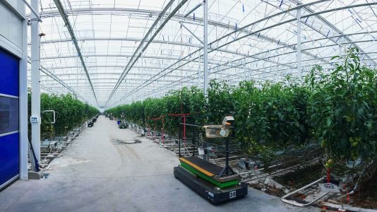 Serres Stéphane Bertrand, Gobeil Dion, Biomasse, Serres, Tomates