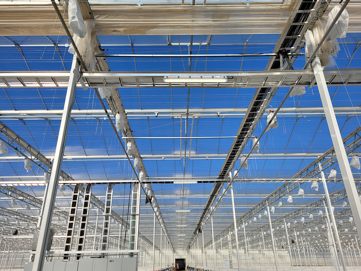 serre structure